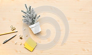 Cute pine tree mock up in white pot and accessories stationary on wood worktable background