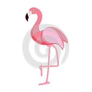 Cute Pink Flamingo Icon Vector Illustration