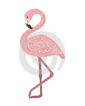 Cute Pink flamingo isolated on white background