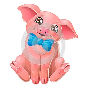 Cute pink pig with bow sits on white