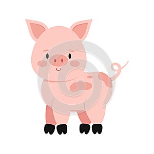 Cute pink pig with curly tail isolated on white background.