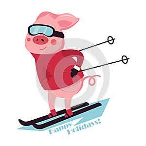 Cute pink pig down the mountain on skis. Downhill skier Vector illustration