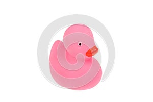 Cute pink rubber duck, isolated on white