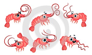 Cute Pink Shrimp with Big Eyes and Long Antennae Vector Set