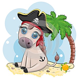 Cute pirate donkey in a cocked hat, with an eye patch. Child character, games for boy