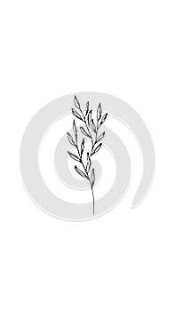 Cute Plant in black line art style on a white background.