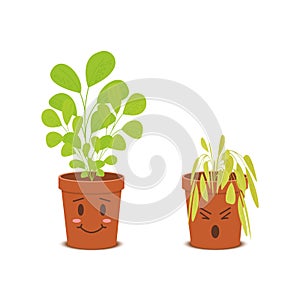 Cute plants in pots characters. Happy blossom vs sad wilted flowers isolated on white background. Vector cartoon