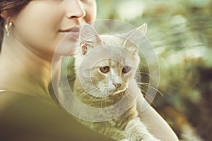 Cute playful kitten in the arms of a girl, a ginger cat takes caress from female hands, a woman and a cat walking in the summer