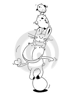 Cute playing pets colorless contour outline funny cartoon picture. Black and white vector illustration. Coloring book page picture