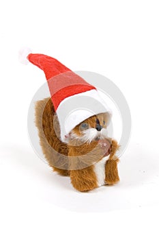 Cute plushy squirrel wearing a christmas hat