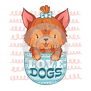 Cute pocket dog. Love dogs, little puppy and cartoon pet vector illustration