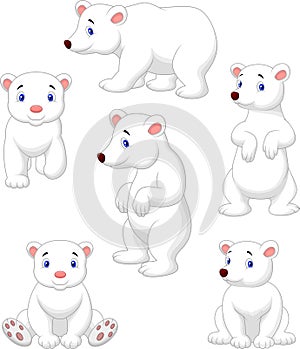 Cute polar bear cartoon collection