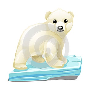 Cute polar bear floats on a drifting ice floe isolated on white background. Vector illustration.