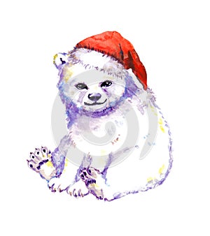 Cute polar bear, red santa hat. Watercolor christmas animal