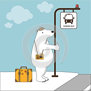 Cute polar bear on vacation at bus stop in summer day