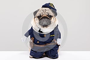 Cute Police dog