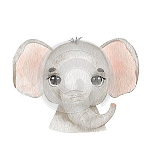 Cute portrait elephant head in cartoon style. Drawing african baby wild elephant face isolated on white background