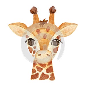 Cute portrait giraffe head in cartoon style. Drawing african baby wild face isolated on white background. Watercolor