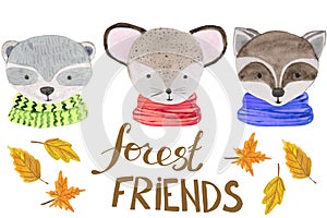 Cute portraits of forest animals in scarves on a white background with the words friends and autumn leaves. watercolor