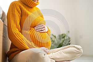 A cute pregnant woman sits. The concept of a happy pregnancy. 9 months of waiting for a baby.