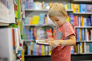 Cute preschool child, looking at books in a bookstore on summer day