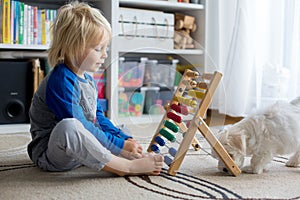 Cute preschool child, playing with abacus at home, little pet dog playing around