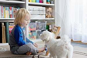 Cute preschool child, playing with abacus at home, little pet dog playing around