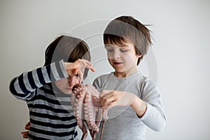 Cute preschool children, boy brothers, holding raw octopus