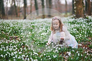 Cute preschooler girl in green tutu skirt gathering snowdrop flowers in park or forest on a spring day