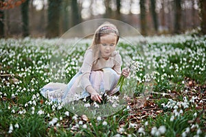 Cute preschooler girl in green tutu skirt gathering snowdrop flowers in park or forest on a spring day