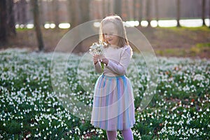 Cute preschooler girl in green tutu skirt gathering snowdrop flowers in park or forest on a spring day