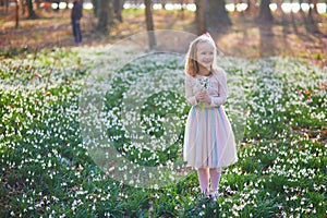 Cute preschooler girl in green tutu skirt gathering snowdrop flowers in park or forest on a spring day