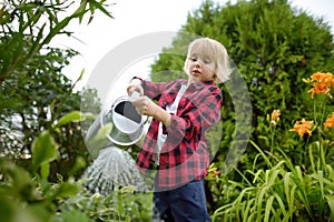 Cute preteen boy watering plants in the garden at summer sunny day. Child helps family with work in domestic garden. Summer