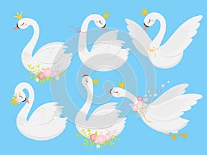 Cute princess swan. Beautiful white swans in gold crown, cartoon goose bird and duckling vector illustration set