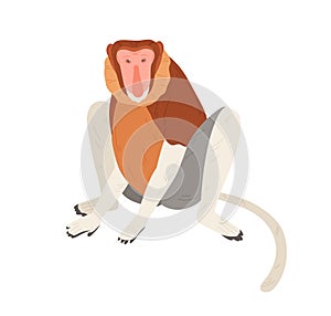 Cute proboscis or bekantan monkey with long fleshy nose, limbs and tail. Hand-drawn exotic Asian animal. Flat cartoon