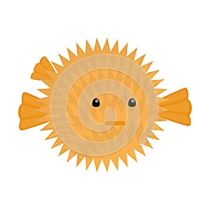 Cute pufferfish creature from the sea or ocean.