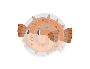 Cute pufferfish or globefish with thorns. Japanese round pfuffer fish or blowfish. Childish colored flat cartoon vector photo