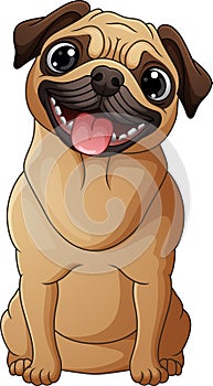 Cute pug dog cartoon isolated on white background