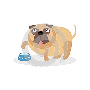 Cute pug dog character and empty bowl, pet dog asking for food cartoon vector Illustration