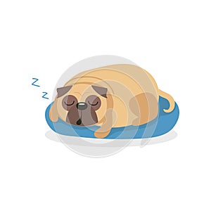 Cute pug dog character sleeping ona blue mat, pet dog cartoon vector Illustration