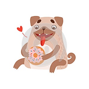 Cute Pug Dog Eating Donut, Funny Friendly Animal Pet Character Vector Illustration