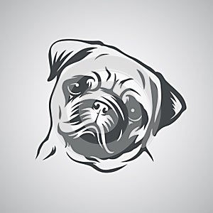 Cute pug dog head. Vector illustration.