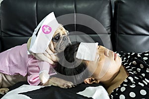 Cute pug dog with nurse costume takes care of the owner, who is sleeping sick with a cold compress on the forehead. Love and