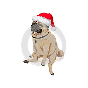 Cute pug dog pet in Santa hat