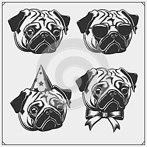 Cute Pug dog portrait with Holiday Attributes. Print design for t-shirts. Template for Pets Shop design.
