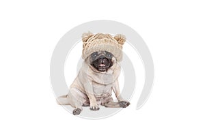 Cute pug dog puppy with happy face siiting with knitted hat isolated on white background
