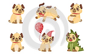 Cute Pug-dog Puppy Wearing Dinosaur Costume and Holding Balloon Vector Set