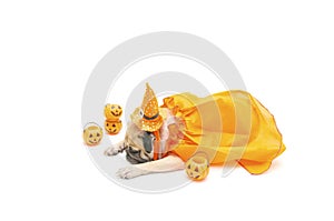 Cute pug dog sleep rest with Happy Halloween day costume and pumpkin