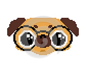 Cute Pug pixel art. nice dog 8 bit. Pet vector