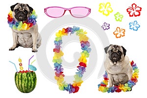 Cute pug puppy dog with colorful summer party elements